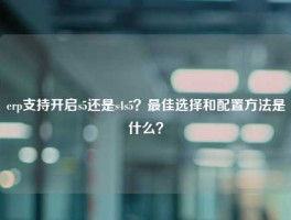 erp支持开启s5还是s4s5？最佳选择和配置方法是什么？