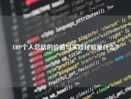 ERP个人总结的价值与实践经验是什么？