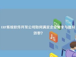 ERP系统软件开发公司如何满足企业需求与提升效率？