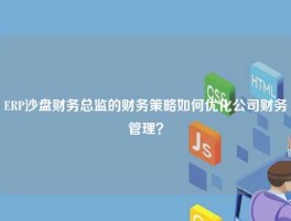 ERP沙盘财务总监的财务策略如何优化公司财务管理？