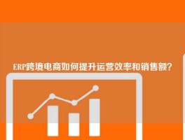 ERP跨境电商如何提升运营效率和销售额？