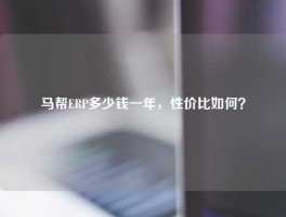 马帮ERP多少钱一年，性价比如何？
