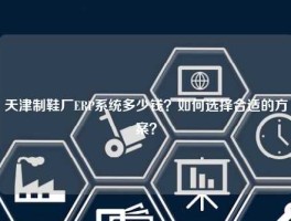 天津制鞋厂ERP系统多少钱？如何选择合适的方案？