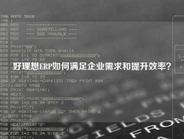 好理想ERP如何满足企业需求和提升效率？