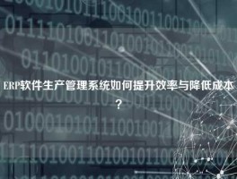 ERP软件生产管理系统如何提升效率与降低成本？