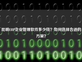 昆明ERP企业管理软件多少钱？如何选择合适的方案？