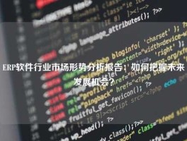 ERP软件行业市场形势分析报告：如何把握未来发展机会？