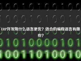 ERP开发用什么语言更优？适合的编程语言有哪些？