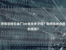 呼和浩特五金厂ERP系统多少钱？如何选择合适的系统？