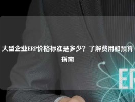 大型企业ERP价格标准是多少？了解费用和预算指南