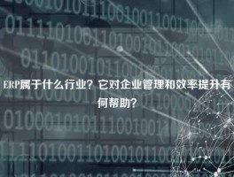 ERP属于什么行业？它对企业管理和效率提升有何帮助？