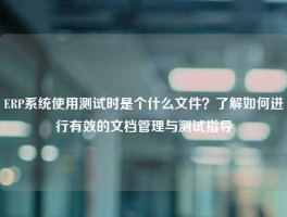 ERP系统使用测试时是个什么文件？了解如何进行有效的文档管理与测试指导