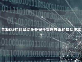 普源ERP如何帮助企业提升管理效率和降低成本？