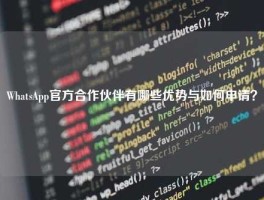 WhatsApp官方合作伙伴有哪些优势与如何申请？