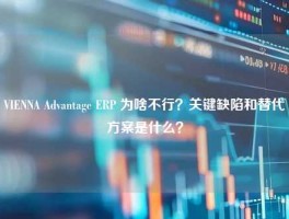 VIENNA Advantage ERP 为啥不行？关键缺陷和替代方案是什么？
