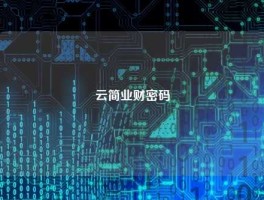 云简业财密码
