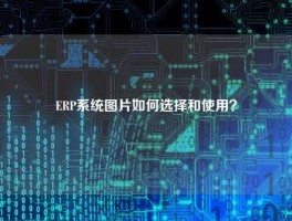 ERP系统图片如何选择和使用？