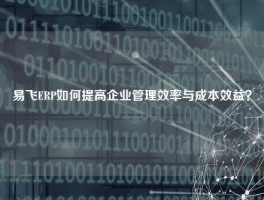 易飞ERP如何提高企业管理效率与成本效益？