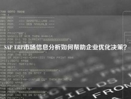 SAP ERP市场信息分析如何帮助企业优化决策？