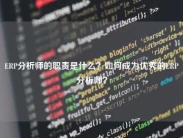 ERP分析师的职责是什么？如何成为优秀的ERP分析师？