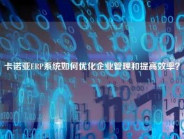 卡诺亚ERP系统如何优化企业管理和提高效率？