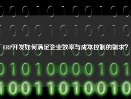 ERP开发如何满足企业效率与成本控制的需求？