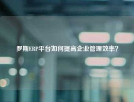 罗斯ERP平台如何提高企业管理效率？