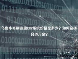乌鲁木齐制造业ERP系统价格是多少？如何选择合适方案？