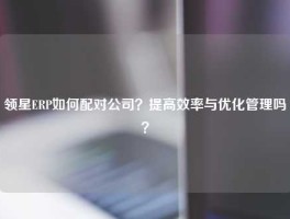 领星ERP如何配对公司？提高效率与优化管理吗？