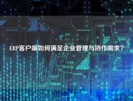 ERP客户端如何满足企业管理与协作需求？