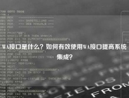 WA接口是什么？如何有效使用WA接口提高系统集成？