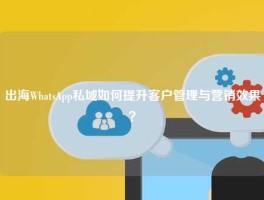 出海WhatsApp私域如何提升客户管理与营销效果？