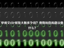 甲骨文ERP系统大概多少钱？费用和选购建议是什么？