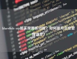 bluewhale erp能实现哪些功能？如何提升企业管理效率？