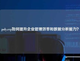 poly.erp如何提升企业管理效率和数据分析能力？
