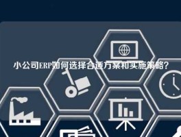 小公司ERP如何选择合适方案和实施策略？