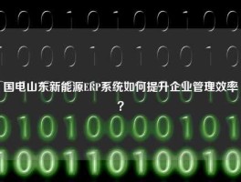 国电山东新能源ERP系统如何提升企业管理效率？
