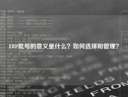 ERP批号的意义是什么？如何选择和管理？