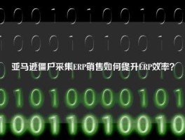 亚马逊僵尸采集ERP销售如何提升ERP效率？