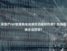 房地产ERP管理系统有哪些功能和作用？如何提高企业效率？