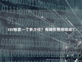ERP账套一个多少钱？有哪些费用组成？