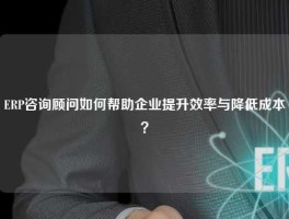 ERP咨询顾问如何帮助企业提升效率与降低成本？