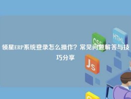 领星ERP系统登录怎么操作？常见问题解答与技巧分享