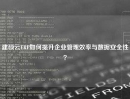 建硕云ERP如何提升企业管理效率与数据安全性？