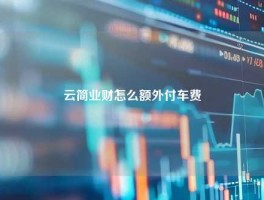 云简业财怎么额外付车费