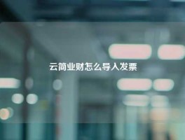 云简业财怎么导入发票