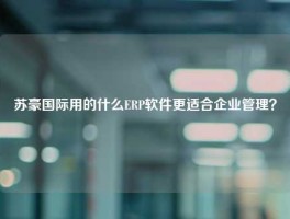 苏豪国际用的什么ERP软件更适合企业管理？