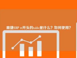 鼎捷ERP tt开头的table是什么？如何使用？
