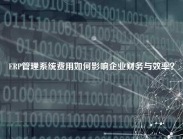 ERP管理系统费用如何影响企业财务与效率？