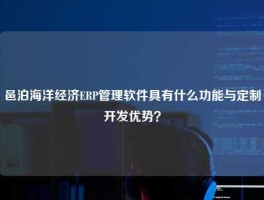 邑泊海洋经济ERP管理软件具有什么功能与定制开发优势？